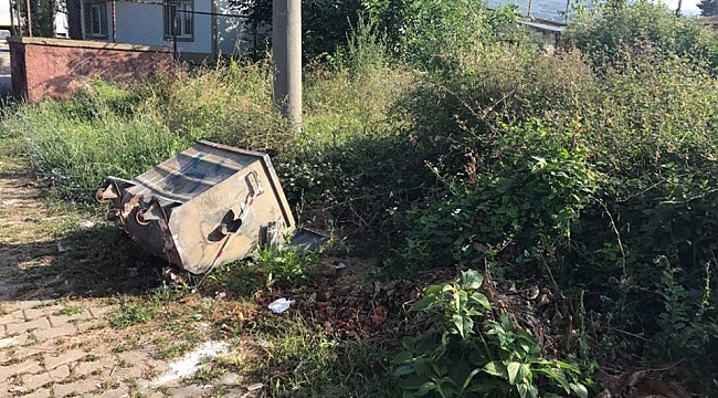 Dereboğazı Mahallesinden şikayet var!...