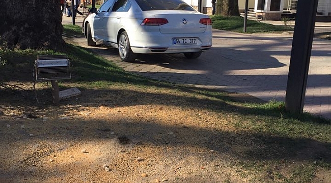 ADAMINA GÖRE PARK YERİ!...