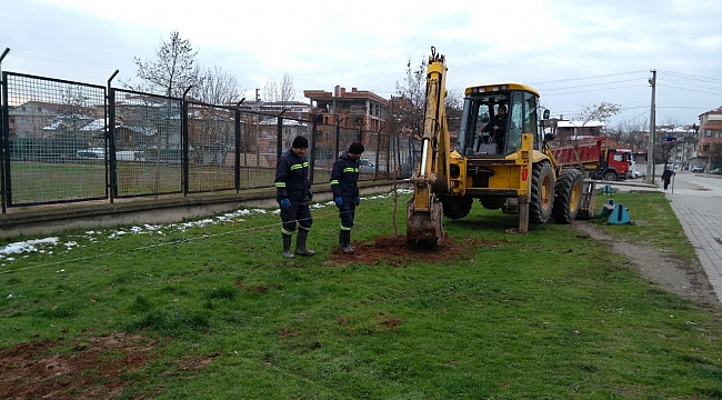 PARK VE BAHÇELER MÜDÜRLÜĞÜNDEN, AĞAÇLANDIRMA ÇALIŞMASI!...