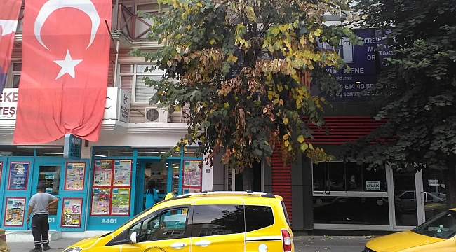 Ihlamur Ağacını zehirleyenlerin arkasında kimler var?...