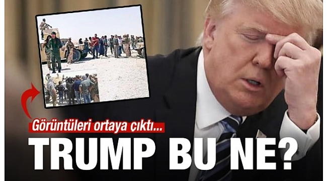 Bu görüntüler başını yakacak