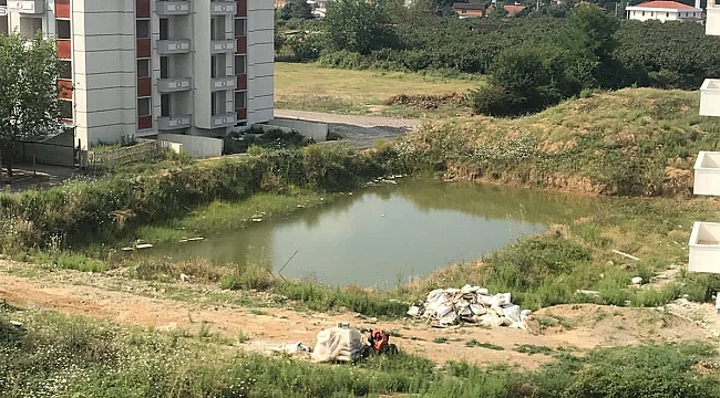 Bu havuzlu arsaların sahibi kim?...