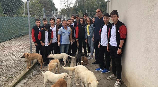 Hayvanlar, Sahiplerini bekliyor...
