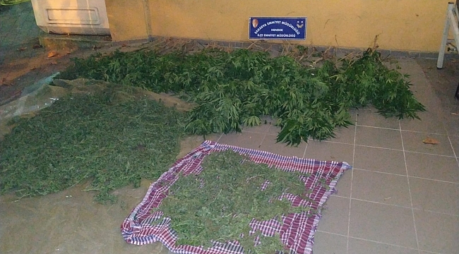 Hendek Polisinden Esrar Operasyonu...