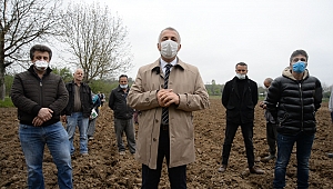 Hendek'te İhtiyaç Sahipleri İçin İmece... 