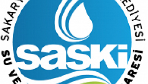 Dağ fare doğurdu...