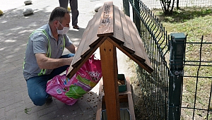 Sokak Hayvanları İçin Mama Evleri... 