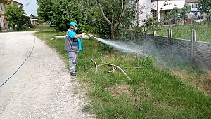 Belediye ekipleri, mahallelerde ilaçlama çalışması yapıyor... 