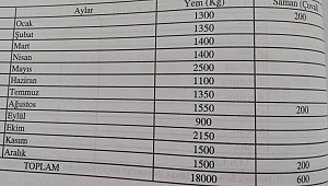 Salman Dede Hayvanat Bahçesi, açık ahıra döndü...