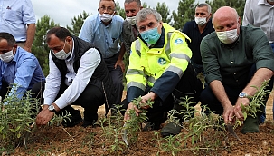 Başkan Yüce, Vali Kaldırımla Adaçayı Topladı...