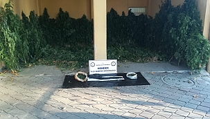 Hendek Polisinden başarılı uyuşturucu operasyonu... 