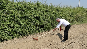 Başkan Yüce, salep üretimi için tohumları toprakla buluşturdu.