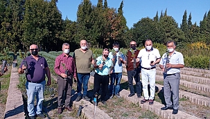İYİ Partiden Hatay'a 5000 fidan...