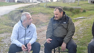 Yaylalar yaylalar, dilo dilo yaylalar... 