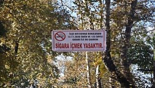 Hendekte sigara içilmesi yasak olan caddeler... 