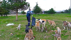 Sokağa çıkma kısıtlamasında sokak hayvanları unutulmuyor...