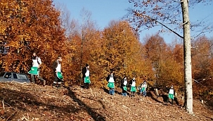 Tohumdan Fidana, Fidandan Ormana...