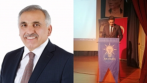 Filler oynaşırken...