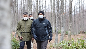 Vali Kaldırım, Dikmen ve Gölyayla'da inceleme yaptı...