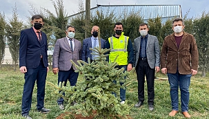 BU YIL HEDEF 5 BİN FİDAN