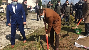 Başkan Baykal, fidan dikti...