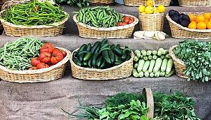 Bugünün Çocukları, Tarımın Geleceği...