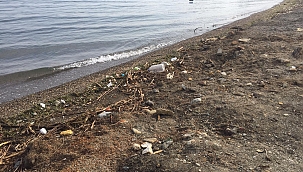 Göl Çevresinden 10 Poşet Çöp Toplandı