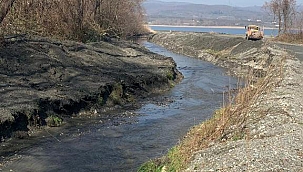 Sapanca’yı Besleyen Dereler Temiz Akıyor