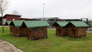 Dünya Sokak Hayvanları Günü’nde 20 yeni yuva...