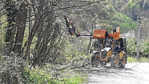 OT BİÇME VE DAL BUDAMA ÇALIŞMALARI SÜRÜYOR