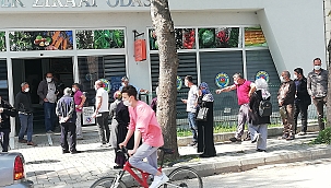 Ziraat Odası önünde, Çiftçi Belgesi Kuyruğu...