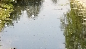 Çark Deresinin Çevresi Temizleniyor