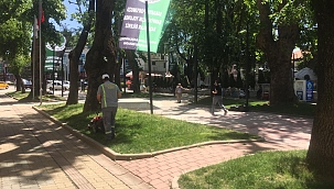 Mahallelerde yabani otla mücadele sürüyor