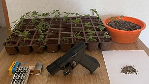 Saksıda Uyuşturucu Operasyonu...