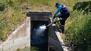 Vektörlerle Mücadele Ve İlaçlama Aralıksız Sürüyor