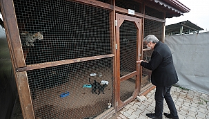 Başkan Yüce: Onlar bize Allah'ın emaneti