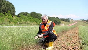 Cennet Vadisi’nde Ekim İşlemleri Tamamlanıyor