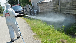 HENDEK BELEDİYESİNDEN ETKİN LARVA MÜCADELESİ