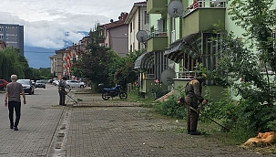 Hendek güzelleşiyor