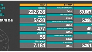 Vaka sayısı düşüyor