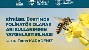 Bitkisel Üretimde Arı Kullanımının Yaygınlaşması İçin Eğitimler Verilecek