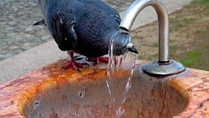 Bu hafta sıcaklara dikkat!