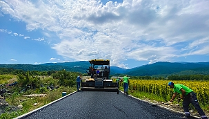 Büyükşehir Fidanlığında Çalışmalar Devam Ediyor