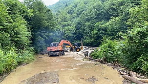 Hendek Belediyesinden canla başla mücadele