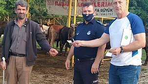 Hendek Kurban Bayramına hazır