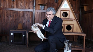 Başkan Yüce: Sokak hayvanları sahipsiz kalmayacak