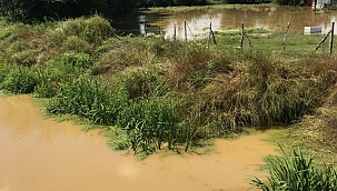 Ender Serbes: Depremden ders alamadık, yeniden büyük acılar yaşayabiliriz