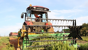 Tarımsal ürün çeşitliliği artıyor.