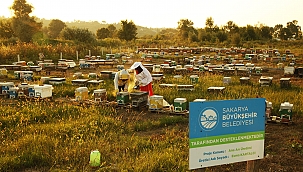 Büyükşehir’in Ödüllü Projesi İkinci Yılında Şehre 1 Milyon 750 Bin Liralık Katkı Sağladı