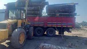 Tomruk kazası can aldı.